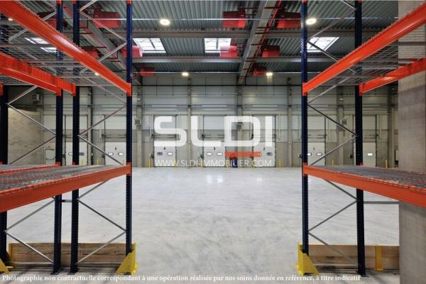 Locaux d'activités A VENDRE - ANSE - 12 000 m²