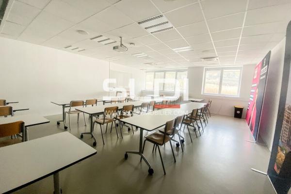 Bureaux A LOUER - LYON - 900 m²