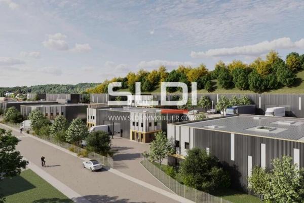 Locaux d'activités A VENDRE - CHAPONOST - 8 930 m²