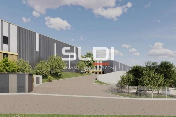 Locaux d'activités A VENDRE - CHAPONOST - 8 930 m²