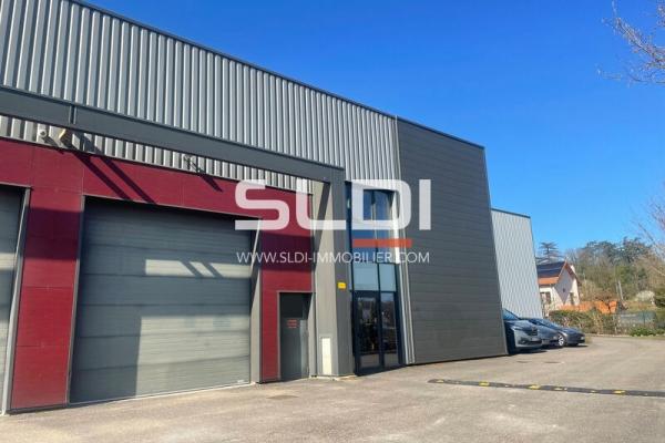 Locaux d'activités A VENDRE - CHAPONOST - 420 m²