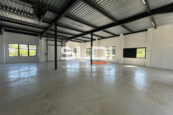 Locaux d'activités A LOUER - DARDILLY - 418 m²