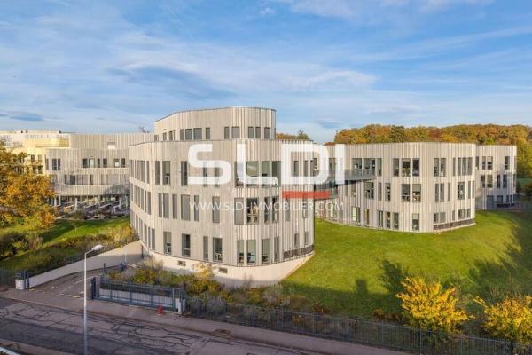 Bureaux A LOUER - LIMONEST - 633 m²