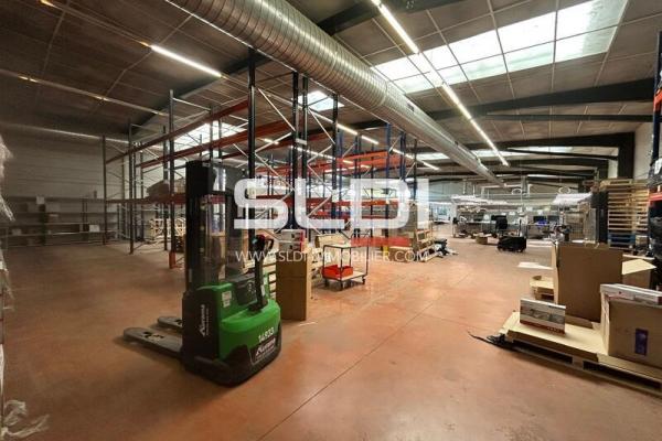 Locaux d'activités A LOUER - CHAMPAGNE AU MONT D'OR - 1 735 m²