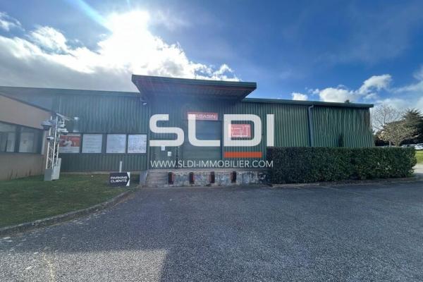 Locaux d'activités A LOUER - CHAMPAGNE AU MONT D'OR - 1 735 m²