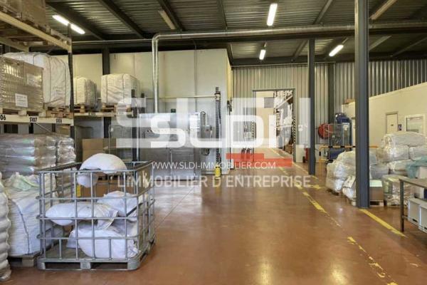 Locaux d'activités A VENDRE - LOZANNE - 4 775 m²