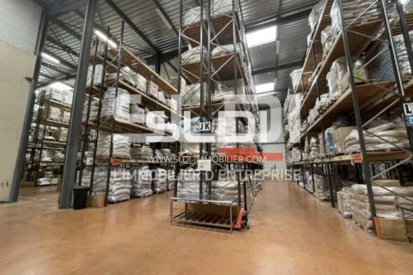 Locaux d'activités A VENDRE - LOZANNE - 4 775 m²