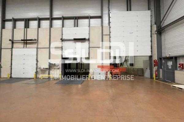 Locaux d'activités A VENDRE - LOZANNE - 4 775 m²