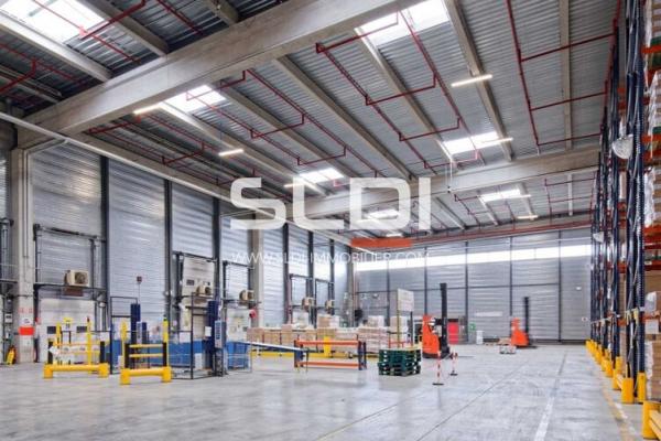 Locaux d'activités A LOUER - MIONS - 25 946 m²