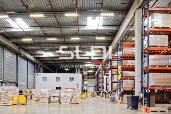 Locaux d'activités A LOUER - MIONS - 25 946 m²