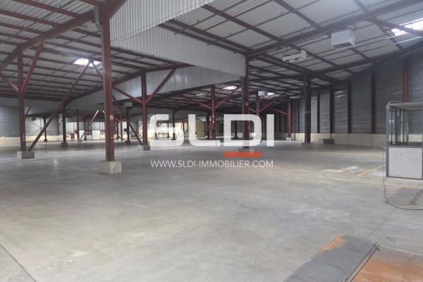 Locaux d'activités A LOUER - SAINT CHAMOND - 8 439 m²