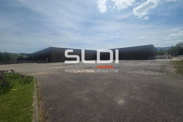 Locaux d'activités A LOUER - SAINT CHAMOND - 8 439 m²