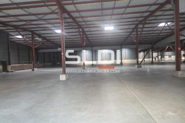 Locaux d'activités A LOUER - SAINT CHAMOND - 8 439 m²