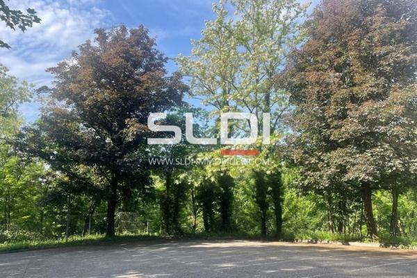 Bureaux A LOUER - ECULLY - 62 m²