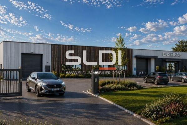 Locaux d'activités A VENDRE OU A LOUER - GUEREINS - 1 677 m²