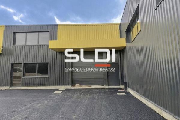 Locaux d'activités A VENDRE OU A LOUER - FRANS - 538 m²