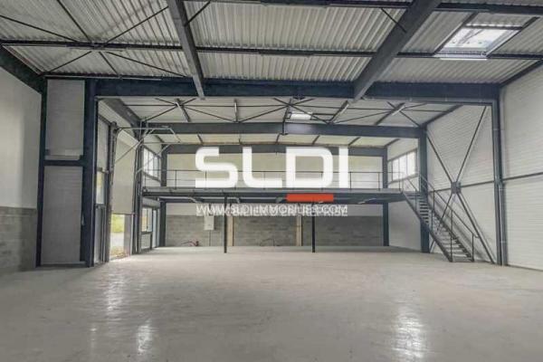 Locaux d'activités A VENDRE OU A LOUER - FRANS - 538 m²