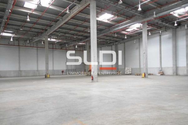 Entrepôts/Messagerie A LOUER - VAULX MILIEU - 6 655 m²