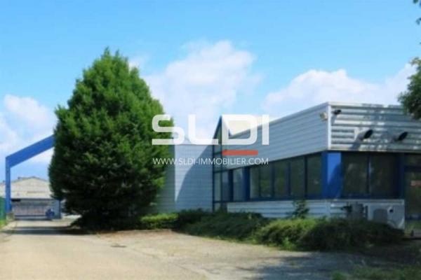 Locaux d'activités A LOUER - SAINT FONS - 930 m²