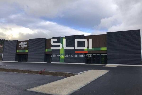 Commerces A VENDRE OU A LOUER - ANSE - 2 171 m²