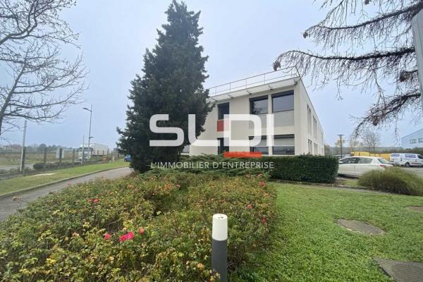 Bureaux A LOUER - RILLIEUX LA PAPE - 576 m²