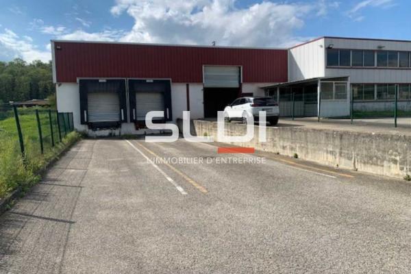 Terrains A VENDRE - SAINT VULBAS - 10 000 m²