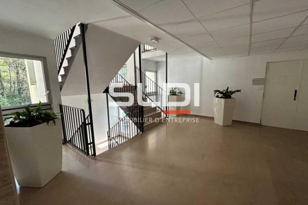 Bureaux A LOUER - ECULLY - 267 m²