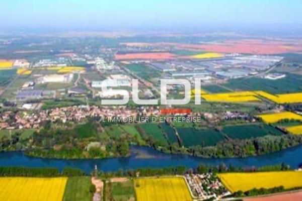 Terrains A VENDRE - SAINT VULBAS - 10 000 m²