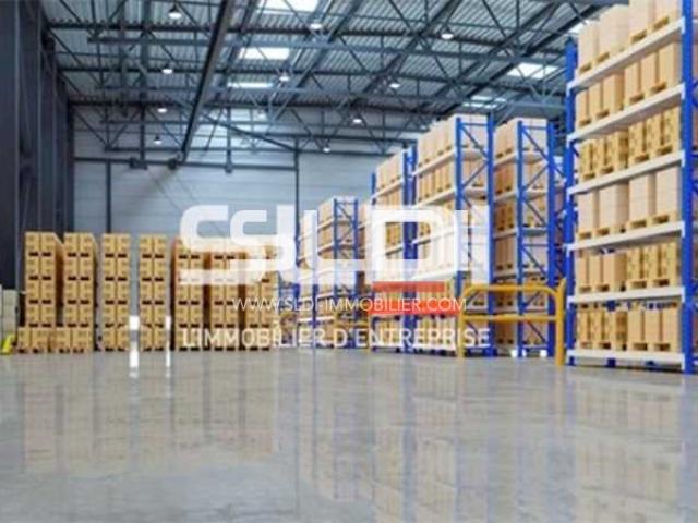 Locaux d'activités A LOUER - CHASSIEU - 5 000 m²