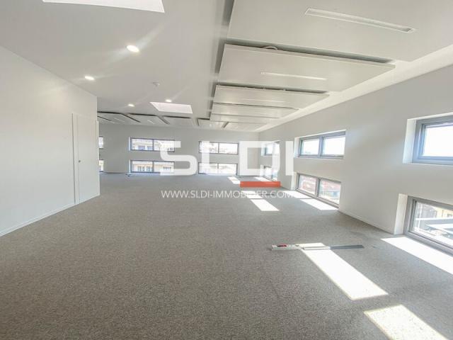 Bureaux A LOUER - LYON - 404 m²