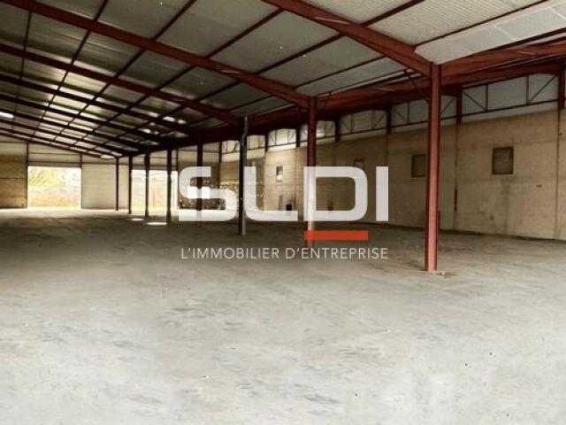 Locaux d'activités A VENDRE OU A LOUER - Belleville-en-Beaujolais - 1 586 m²