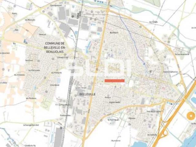 Locaux d'activités A VENDRE OU A LOUER - Belleville-en-Beaujolais - 1 586 m²