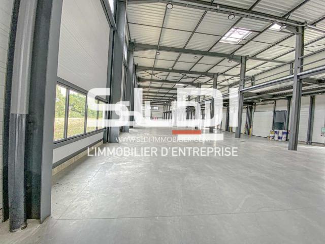 Locaux d'activités A LOUER - MEYZIEU - 1 531 m²