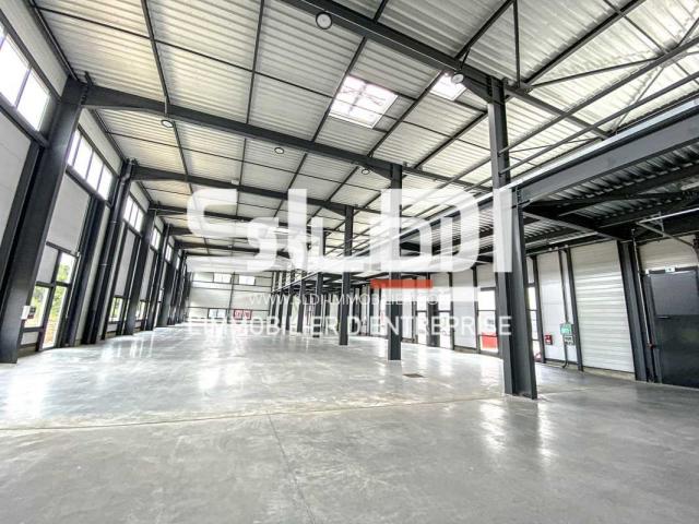 Locaux d'activités A LOUER - MEYZIEU - 1 531 m²