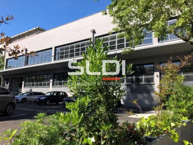 Bureaux A LOUER - LYON - 1 483 m²