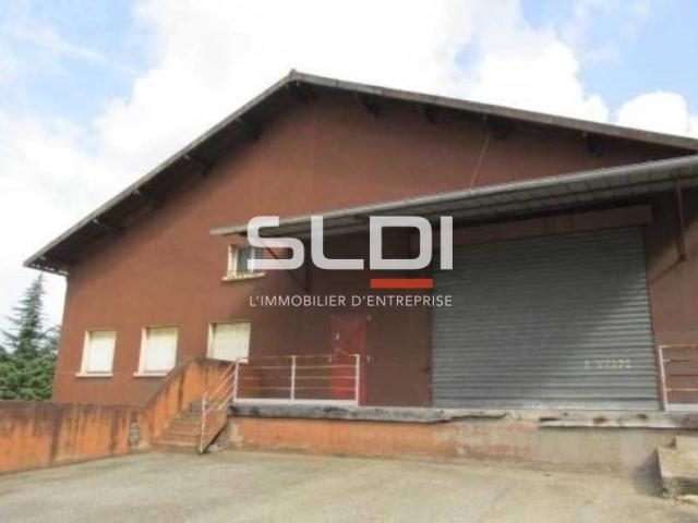 Locaux d'activités A LOUER - FLEURIEU SUR SAONE - 1 500 m²