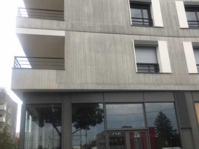 Commerces A LOUER - VILLEURBANNE - 249 m²