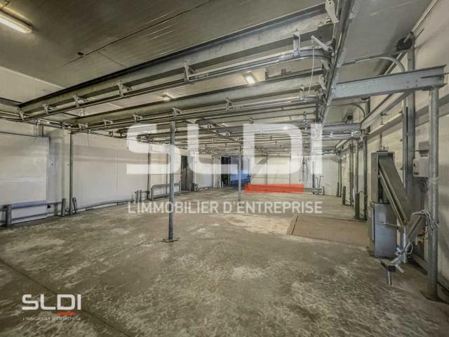 Locaux d'activités A LOUER - SAINT SYMPHORIEN D'OZON - 1 000 m²