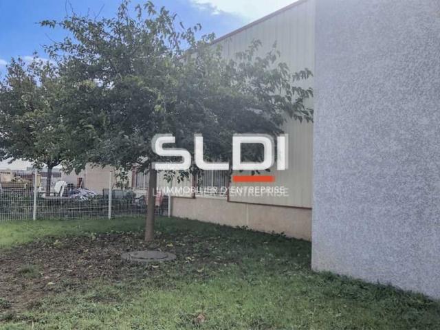 Locaux d'activités A LOUER - CHASSIEU - 192 m²