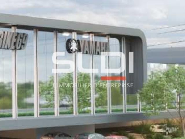 Locaux d'activités A LOUER - VILLEFRANCHE SUR SAONE - 4 600 m²