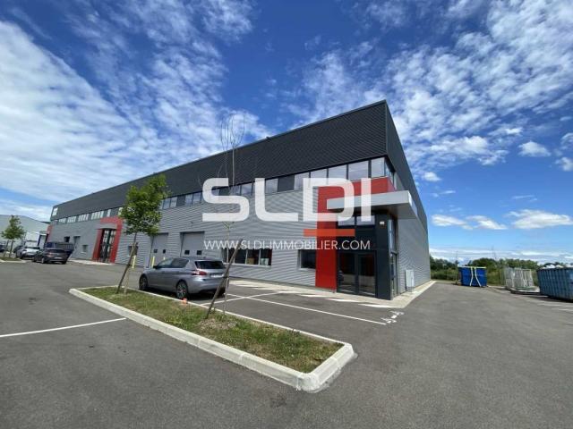 Locaux d'activités A LOUER - DAGNEUX - 1 129 m²