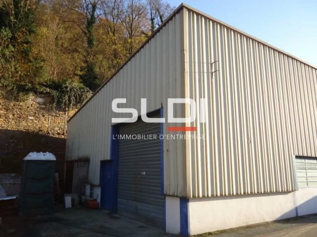 Locaux d'activités A LOUER - FLEURIEU SUR SAONE - 804 m²