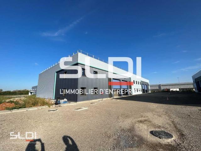Locaux d'activités A VENDRE OU A LOUER - SAINT VULBAS - 1 471 m²
