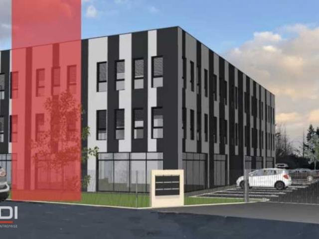 Bureaux A VENDRE OU A LOUER - VILLEFRANCHE SUR SAONE - 355 m²