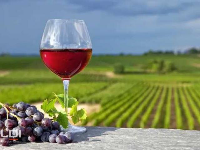 Commerces A VENDRE - VILLIE MORGON - 282 m²