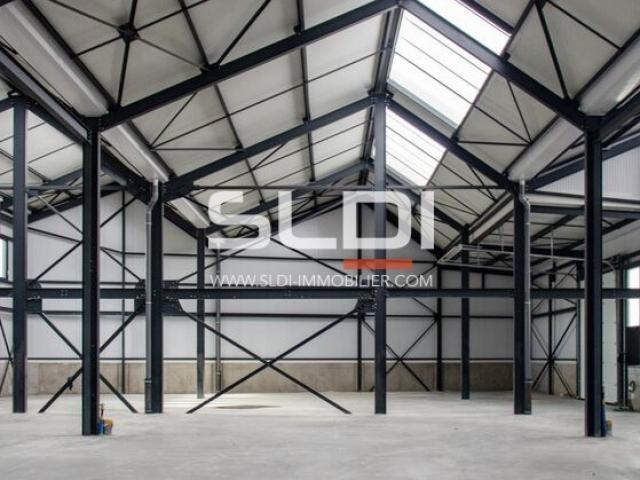 Locaux d'activités A VENDRE - TOUSSIEU - 3 115 m²