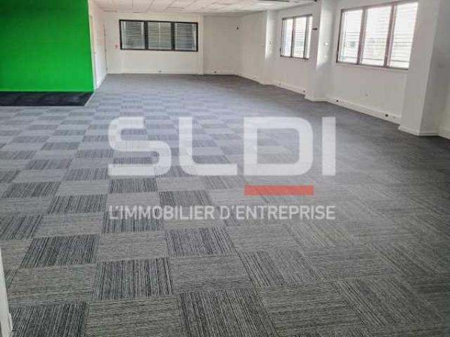 Locaux d'activités A LOUER - DARDILLY - 5 560 m²