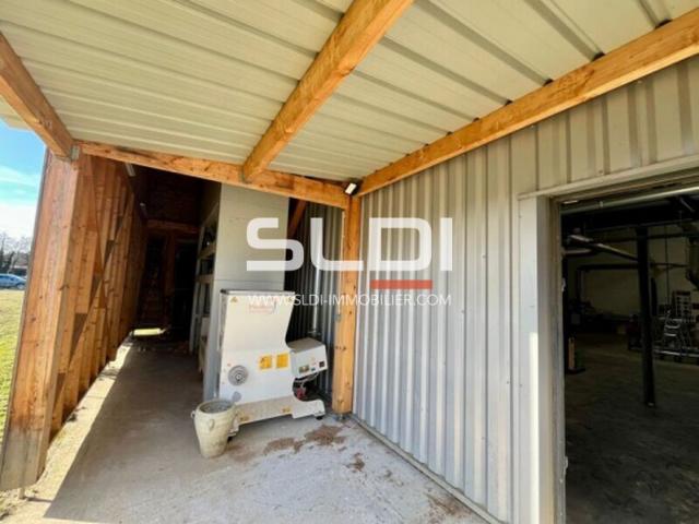 Locaux d'activités A VENDRE - DAGNEUX - 685 m²