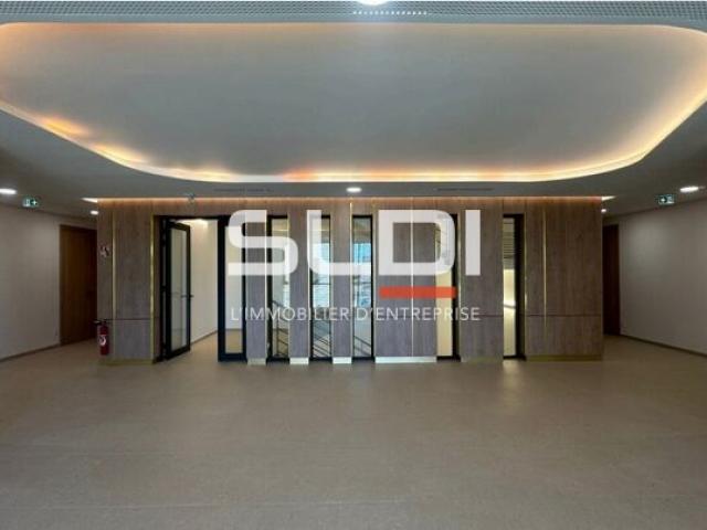 Bureaux A LOUER - GENAS - 10 187 m²