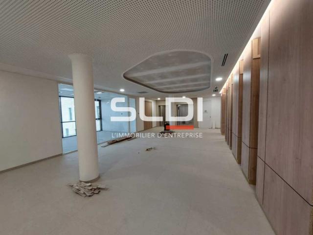 Bureaux A LOUER - GENAS - 10 187 m²